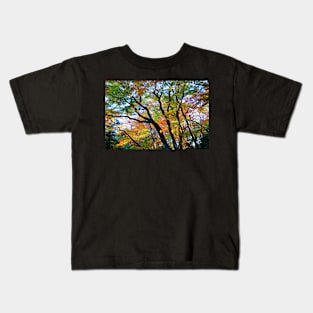 Beautiful Autumn Trees Kids T-Shirt